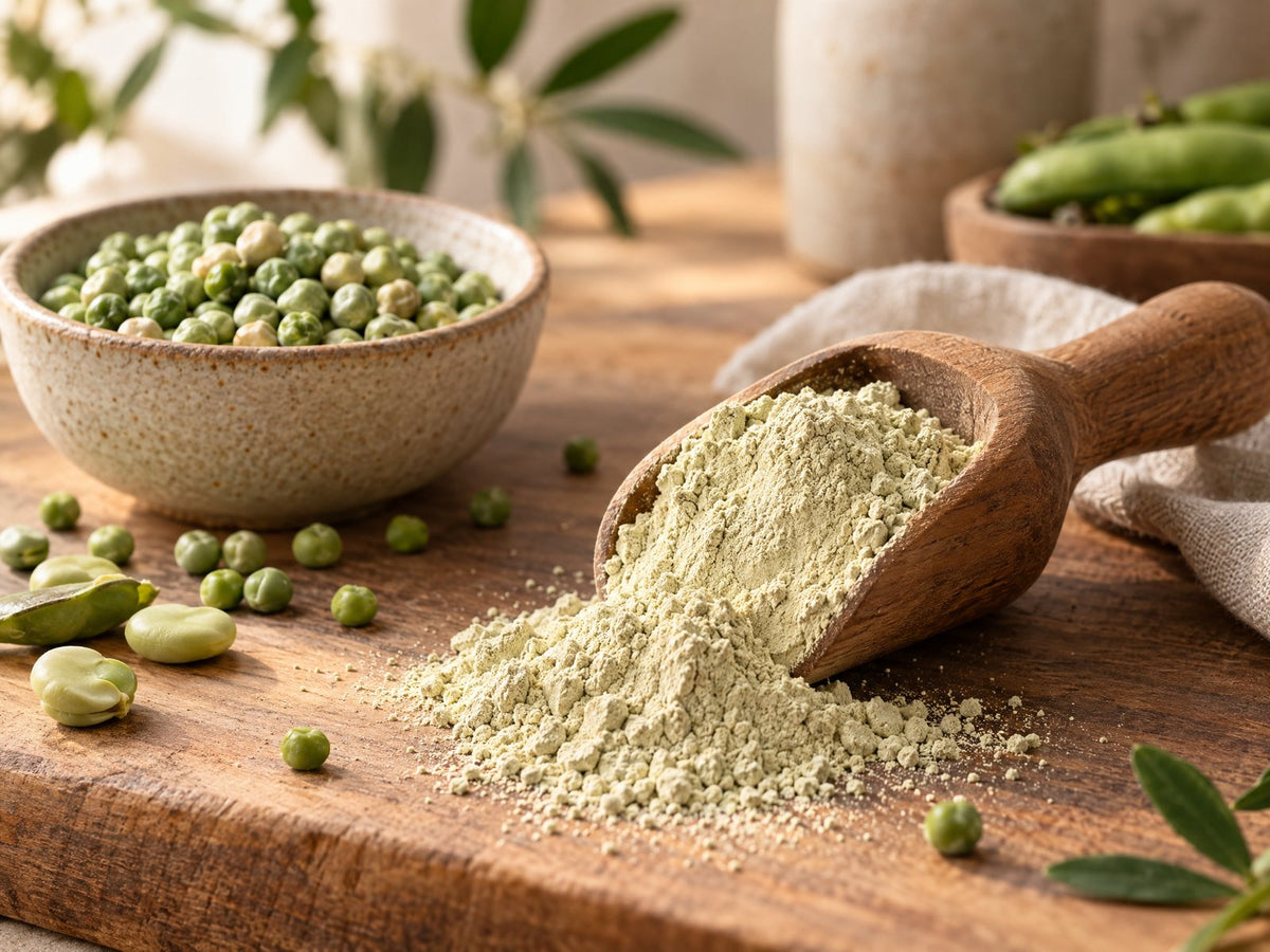 Houten schep erwten- en fava-eiwitpoeder met gedroogde erwten op hout